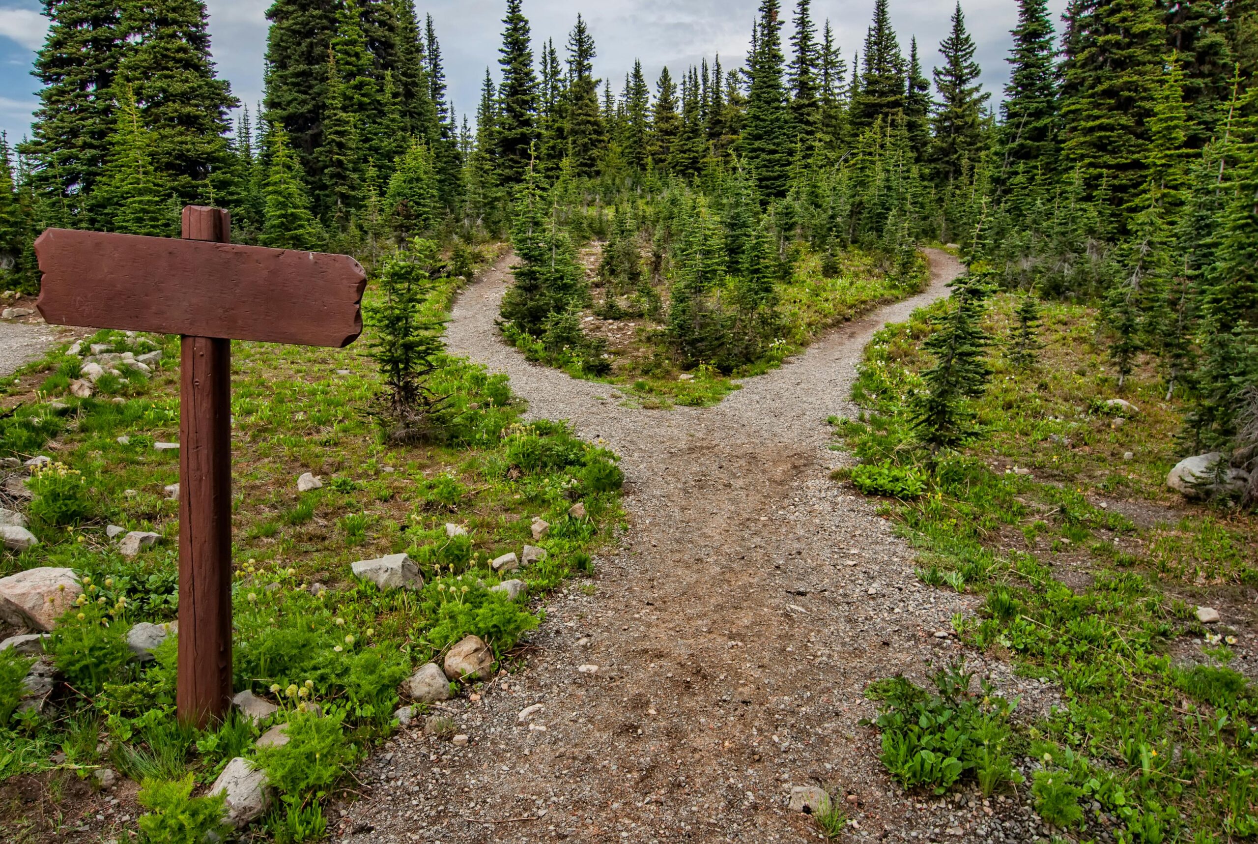 free will vs. determinism