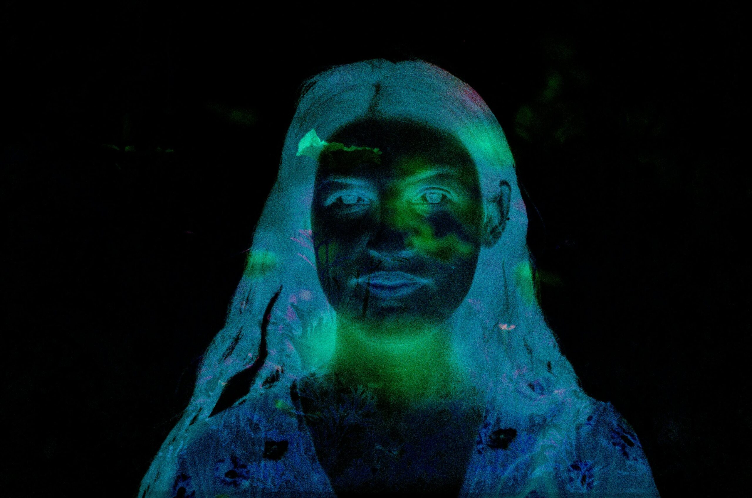 Digital Immortality