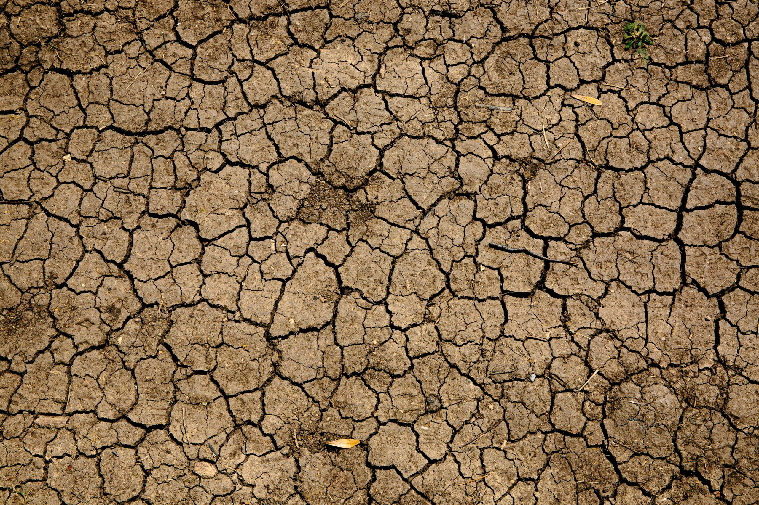 Climate Existentialism