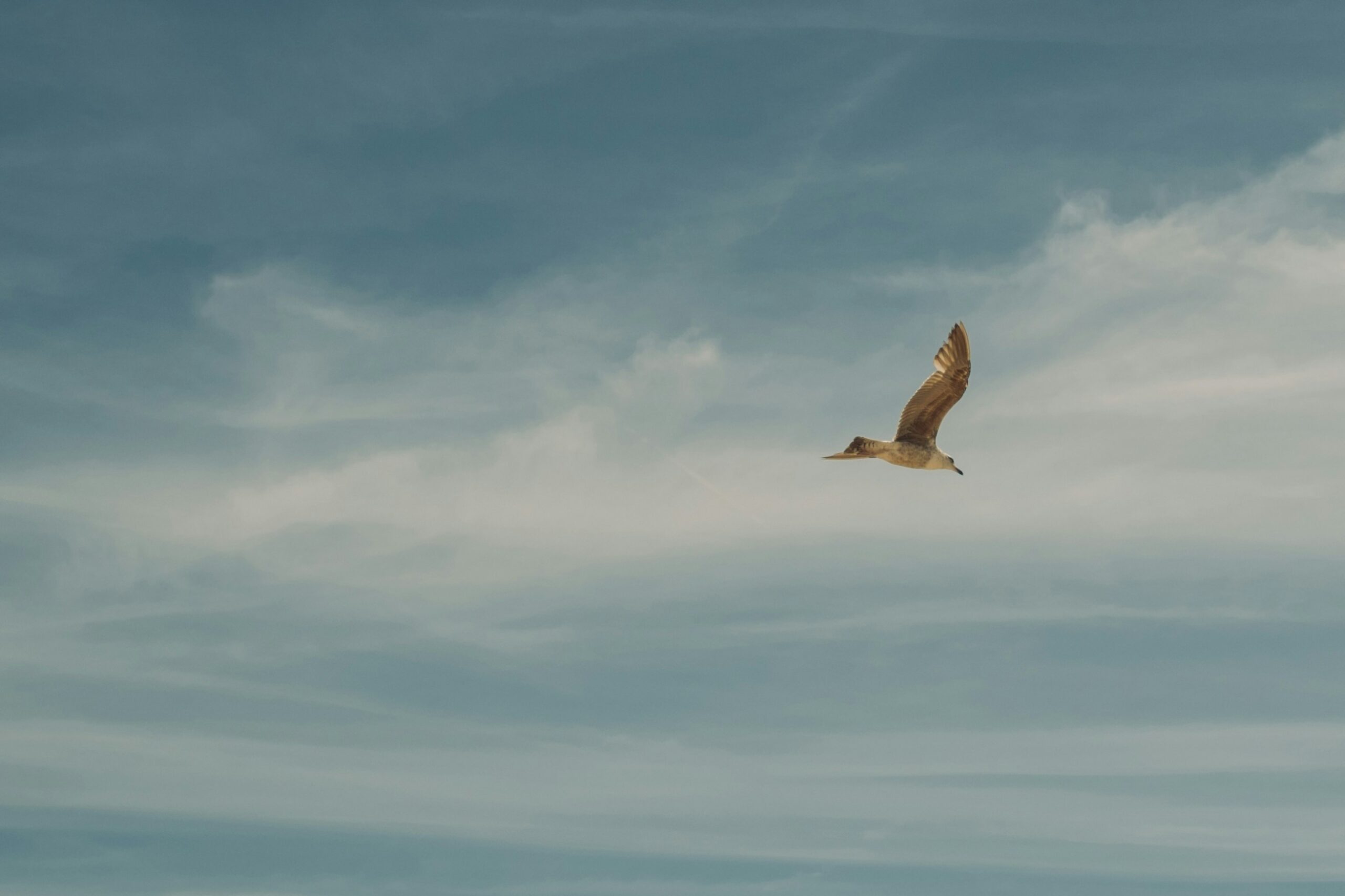 You May Be Living Someone Else’s Life